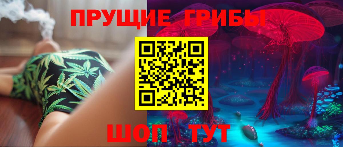 Урюпинск  Псилоцибиновые грибы MAGIC MUSHROOMS  Вход с VPN  Псилоцибиновые грибы прущие грибы 